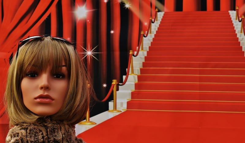 Celebrities on the red carpet